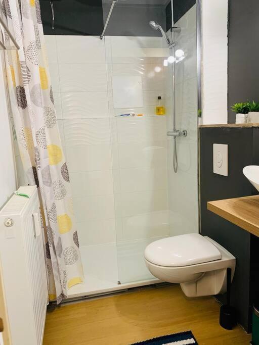 Appartement Tres Proche Mediacite - Centre Ville Liège Eksteriør billede